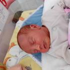 Zosia