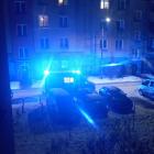 Fotka nr 2 z 4