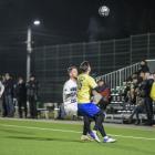 zdjęcie nr 12