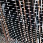 IMG-0986