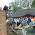 zdjęcie nr 53