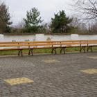 zdjęcie nr 11