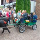 zdjęcie nr 33