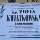 Fotka nr 1 z 2
