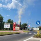 zdjęcie nr 15