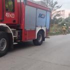 Fotka nr 4 z 6