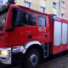 Fotka nr 4 z 6