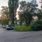 Fotka nr 2 z 4