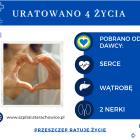 Fotka nr 2 z 4