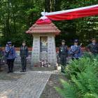 zdjęcie nr 42