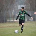 zdjęcie nr 12