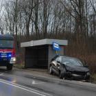 zdjęcie nr 8