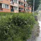 zdjęcie nr 8