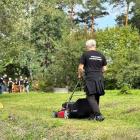 zdjęcie nr 13