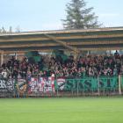 Fotka nr 1 z 11
