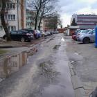 Fotka nr 4 z 6