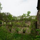 Fotka nr 1 z 11