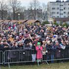 zdjęcie nr 16
