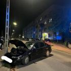 Fotka nr 1 z 4