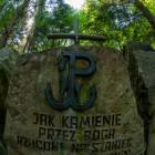 zdjęcie nr 9