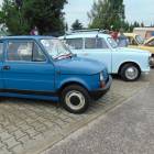 Fotka nr 5 z 12