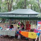 zdjęcie nr 8