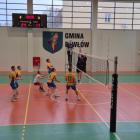 Fotka nr 1 z 12