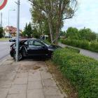 Fotka nr 2 z 4