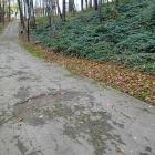 zdjęcie nr 7