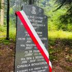 zdjęcie nr 8