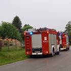 Fotka nr 1 z 2