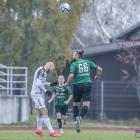 zdjęcie nr 13