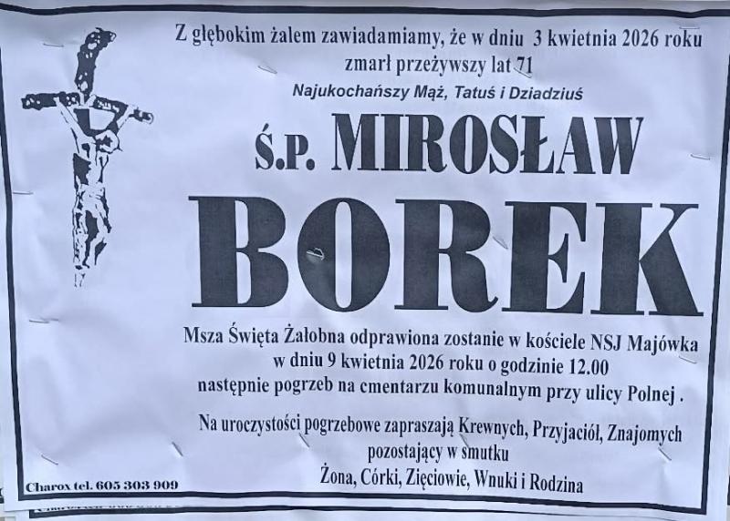 Mirosław  Borek