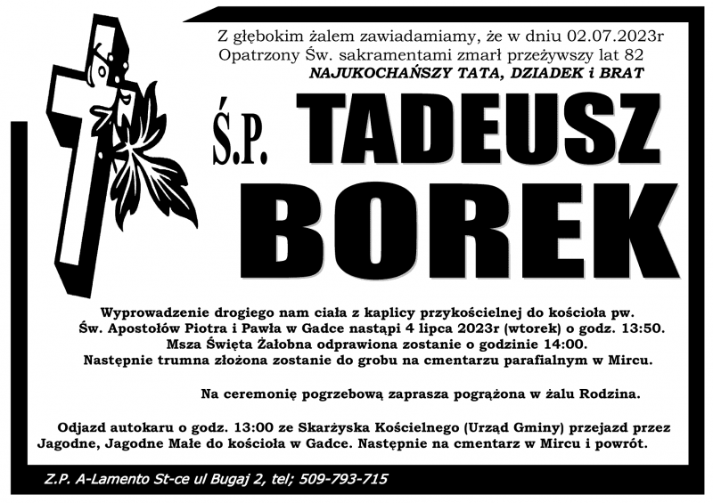 Tadeusz  Borek