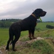 zdjęcie nr 