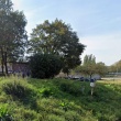 zdjęcie nr 