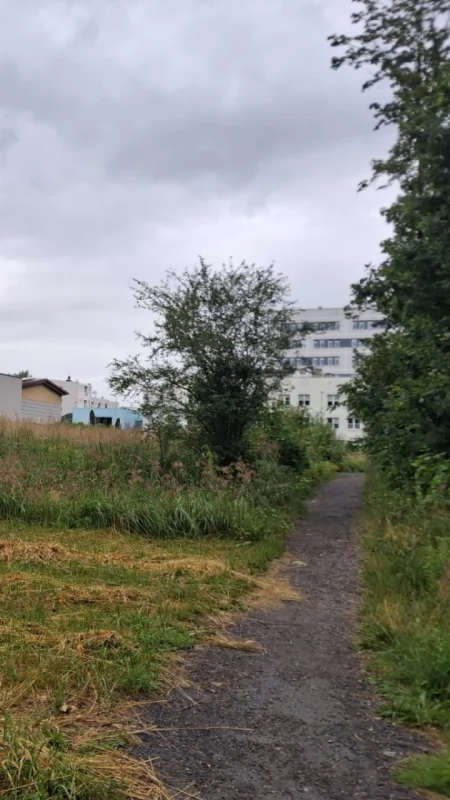  Miasto chce kupić od powiatu teren przy ul. Radomskiej. Czy powstaną tam mieszkania?