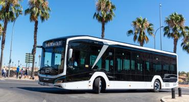 MANowskie autobusy na drogach Europy