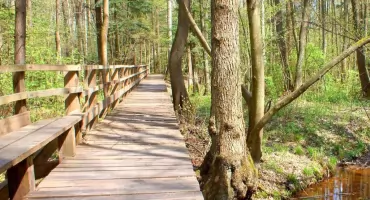 Rezerwat Mroczków i Dalejów