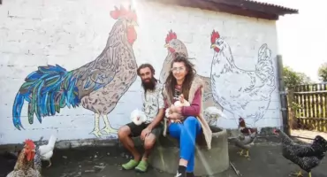 Życie w zgodzie z naturą, czyli jak Monika i Karol ekologicznie uprawiają pole