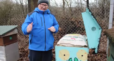 Życie pszczół zimą – tajemnice zimowli i opieki nad ulami