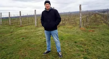 Winorośl nie wybacza błędów - Piotr Sławek o uprawie w gm. Pawłów 
