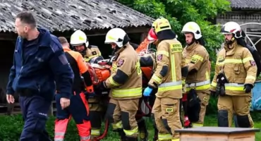Jest śledztwo po brutalnym ataku psów w gminie Mirzec. Prokuratura Rejonowa gromadzi materiał dowodowy