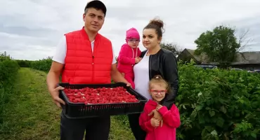  Sad z pasji w gm. Pawłów. Jak młody rolnik odmienił rodzinne gospodarstwo