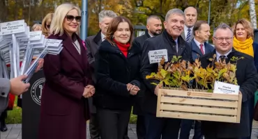 Tysiąc Dębów na Tysiąclecie Państwa Polskiego. Sadzonki trafiły również do powiatu starachowickiego