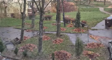 Liście, które dzielą Majówkę w Starachowicach