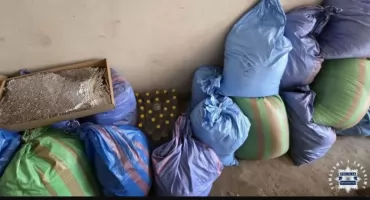 Nielegalny towar w gm. Brody. Skarb Państwa mógł stracić ponad 200 tys. zł