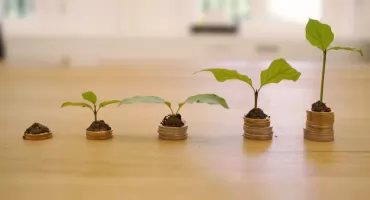 Pożyczka online bez odmowy - mit czy rzeczywistość?