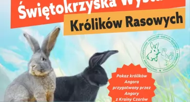 Świętokrzyska Wystawa Królików Rasowych 