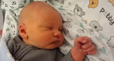 DOMINIK urodził się 8 grudnia